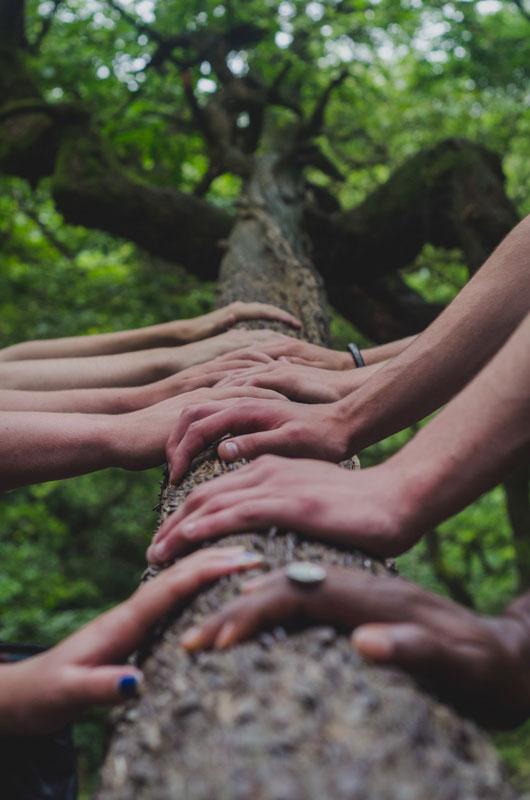 Reflexion collective en 7 étapes